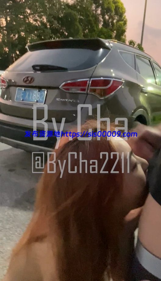 两部查小理户外露出视频【2v/1.79g】 2