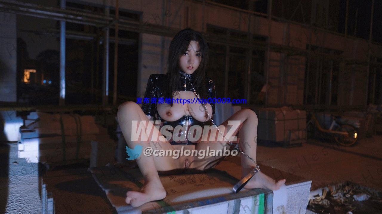 最新2022推特高颜值母狗【酒月】与主人【WisdomZ】【168M/10V/466P】 10