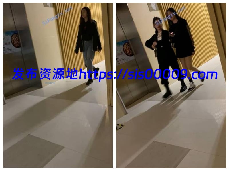 【2020原创厕拍】重磅原创高档餐厅厕拍吃夜宵的性感美女3[百度网盘/1.55G/多v] 2