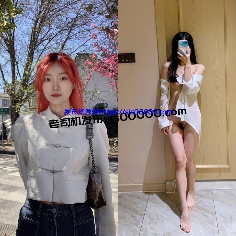 X推特微密圈成都高质量外围名媛 林书【36P/33V/2.3GB】 1