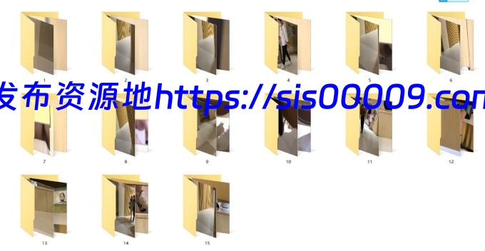 【2020原创厕拍】重磅原创高档餐厅厕拍吃夜宵的性感美女3[百度网盘/1.55G/多v] 4