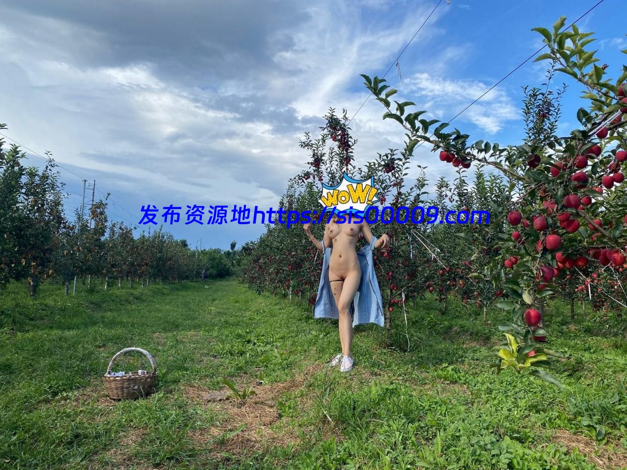 Twitter推特大神帝都金领S 【百度网盘/1213P /39V/1.86G】 13