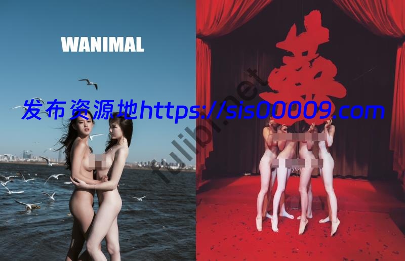 极品模特少妇@甲乙丙我姓丁-尺度私拍视图合集【690P+10V 3.70G】 3