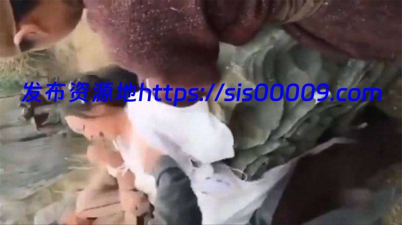 【吃瓜】横店影视拍摄现场录制古装女被qb片段【1V/424M】 10