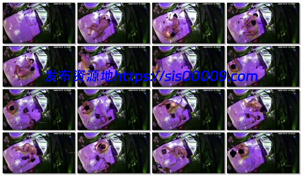 全新情侣360私享台12.11-13最新9集新台胖哥玩得尽兴【百度网盘/4G】 3