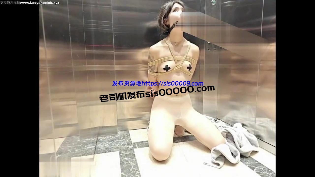 X推特调教高颜值反差母狗 欢乐谷系列 高价资源【3V/13GB】 1