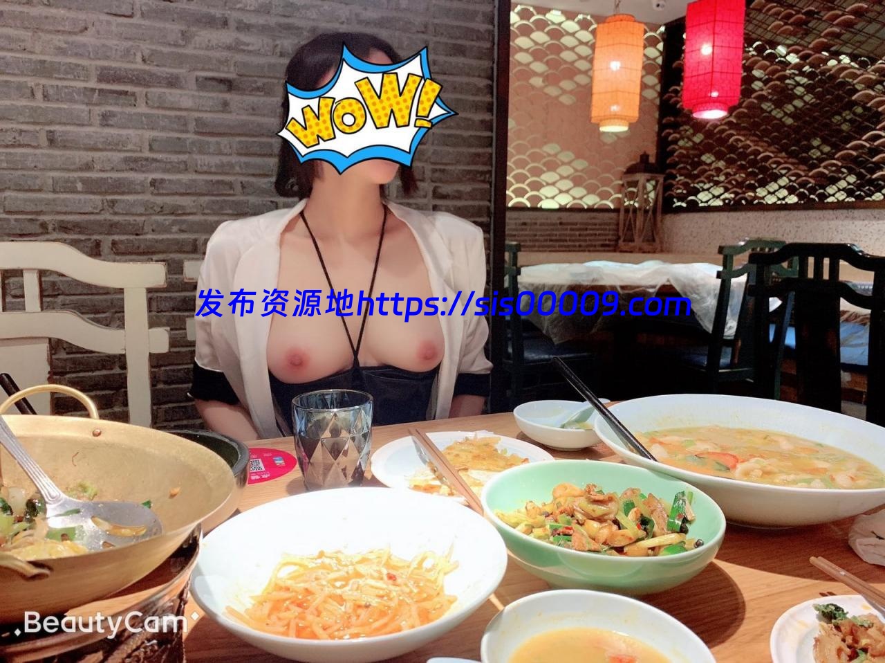 Twitter推特大神帝都金领S 【百度网盘/1213P /39V/1.86G】 9