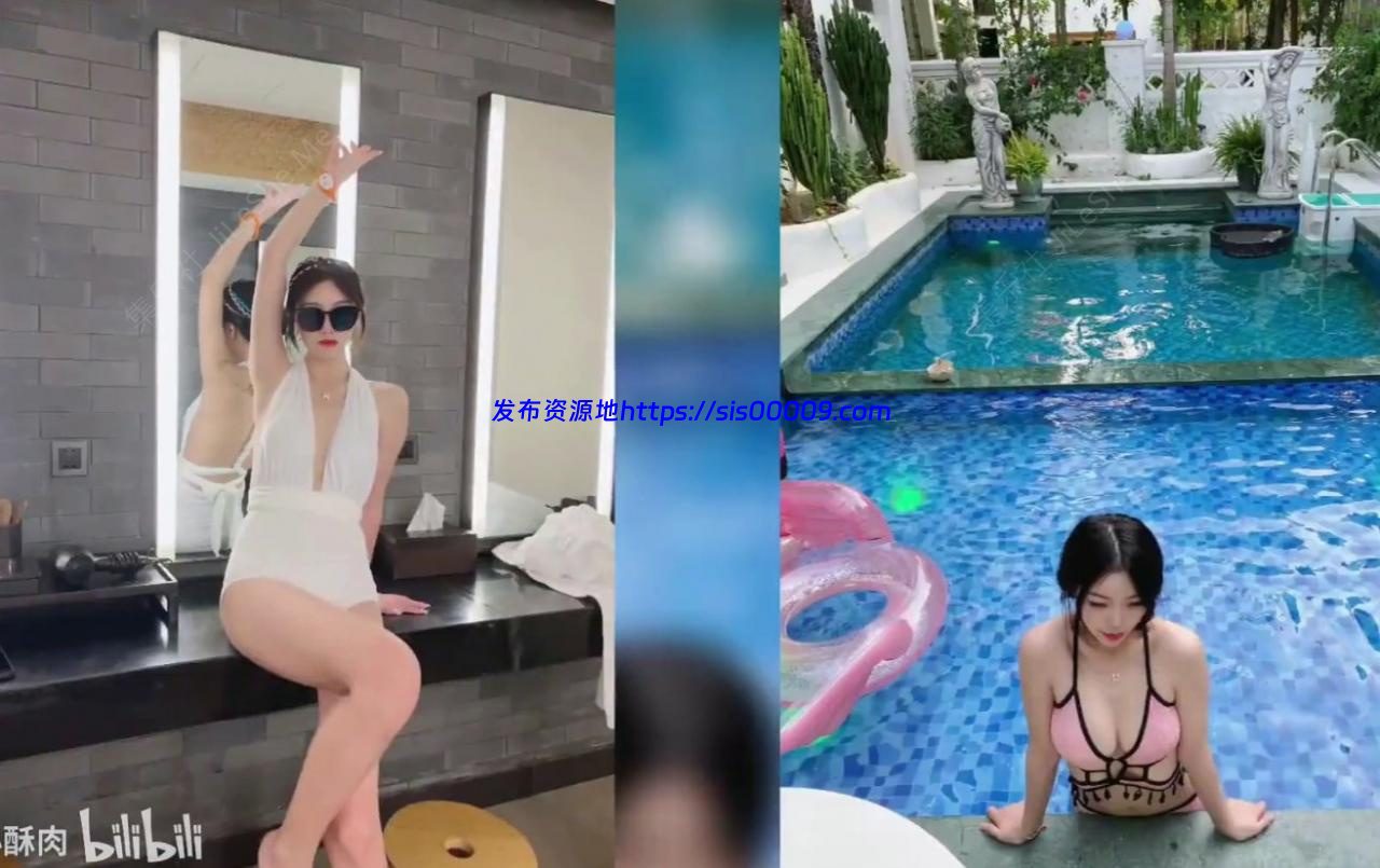 B站UP主苏苏小酥肉 27v1.9g 3