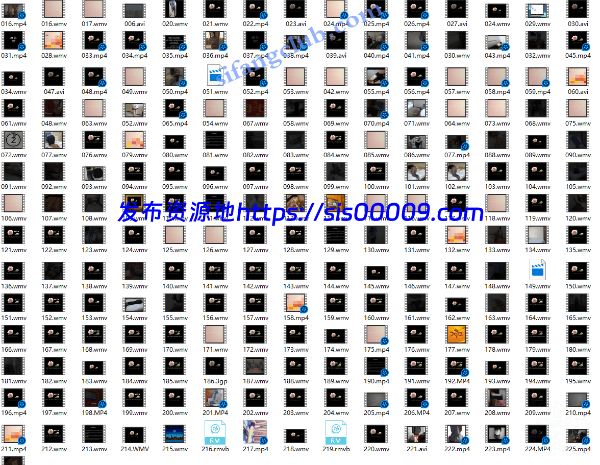 国产-SpankingThealer茉莉红花-系列合集[222V/41G] 3