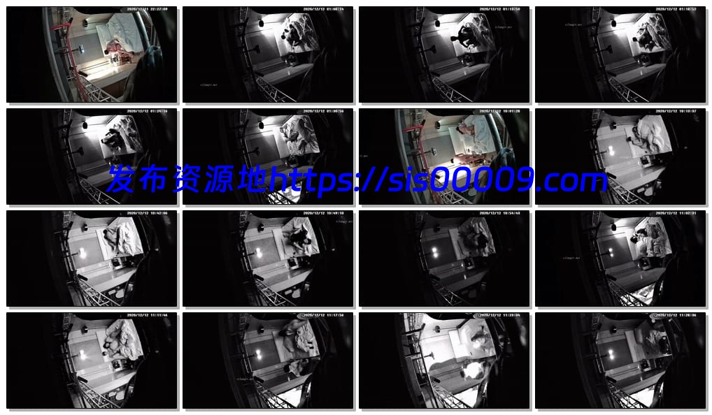 全新情侣360私享台12.11-13最新9集新台胖哥玩得尽兴【百度网盘/4G】 4