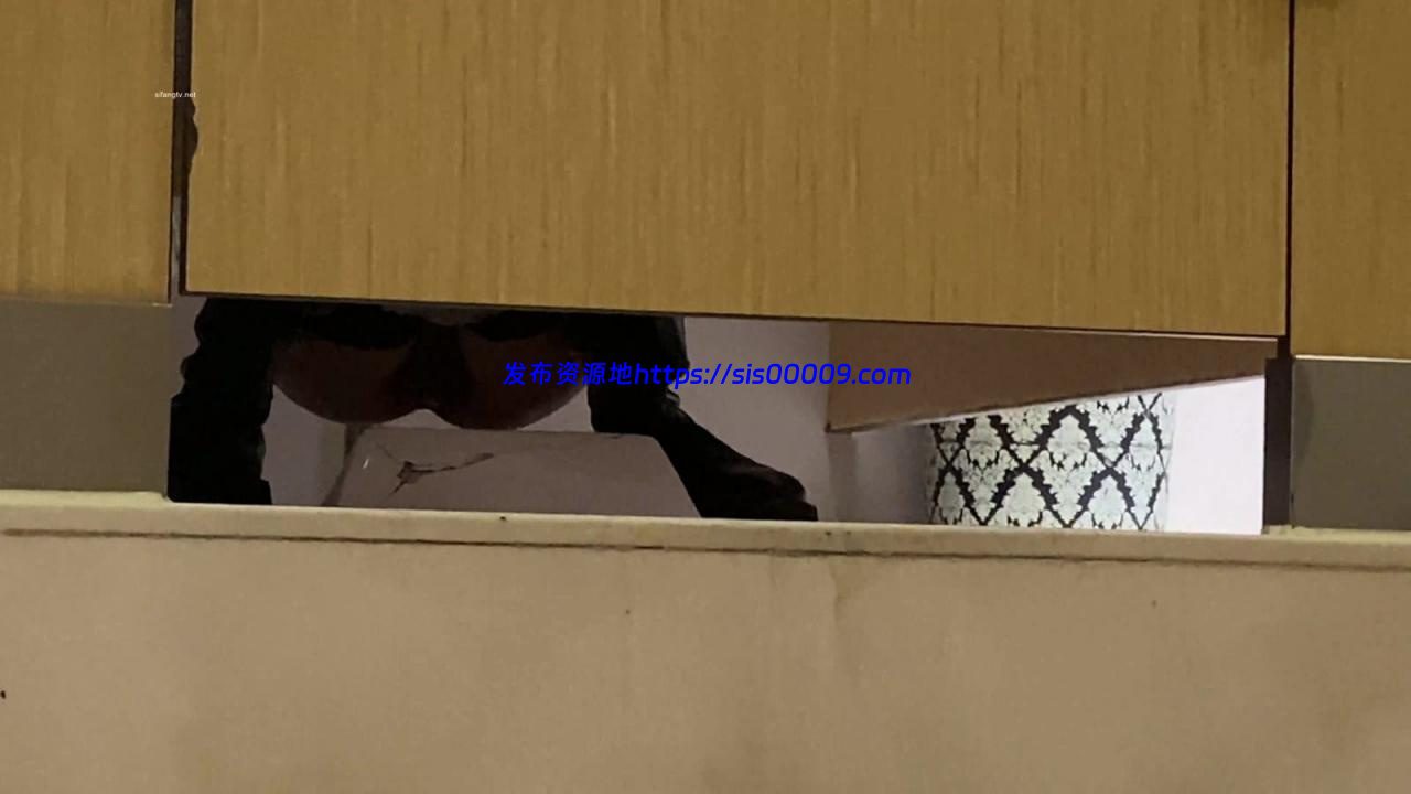 【2020原创厕拍】高级商场偷拍各种蹦完迪的气质美女完结篇【百度网盘/21V/2.37G】 3