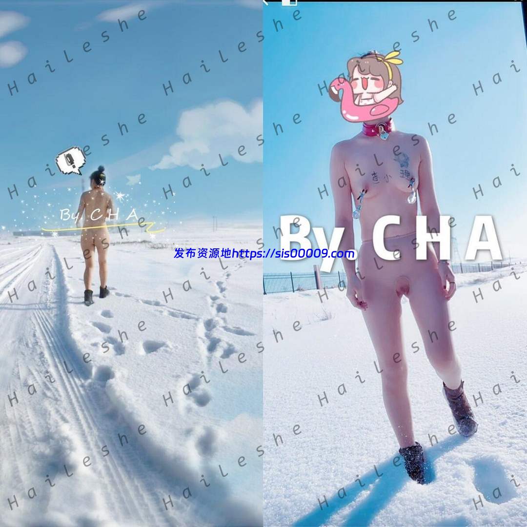 推特露出大神查小理【31V/3.65G】 1