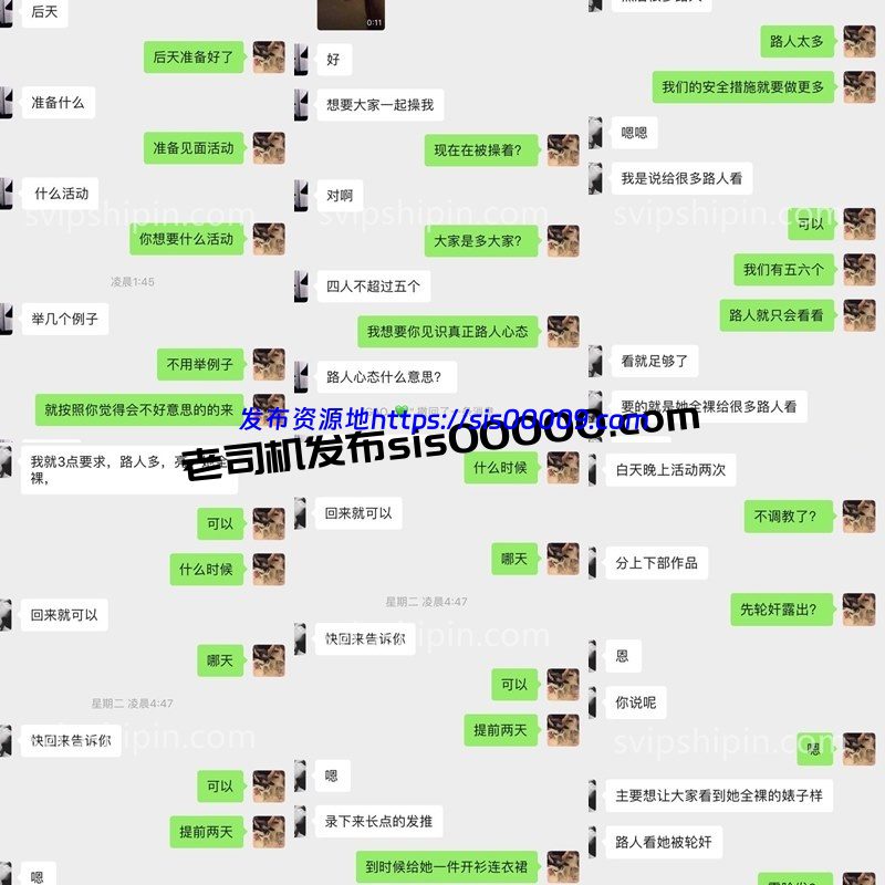 大佬黑白DOM老Zz字母圈封神作品反差母狗 26.6GB 7