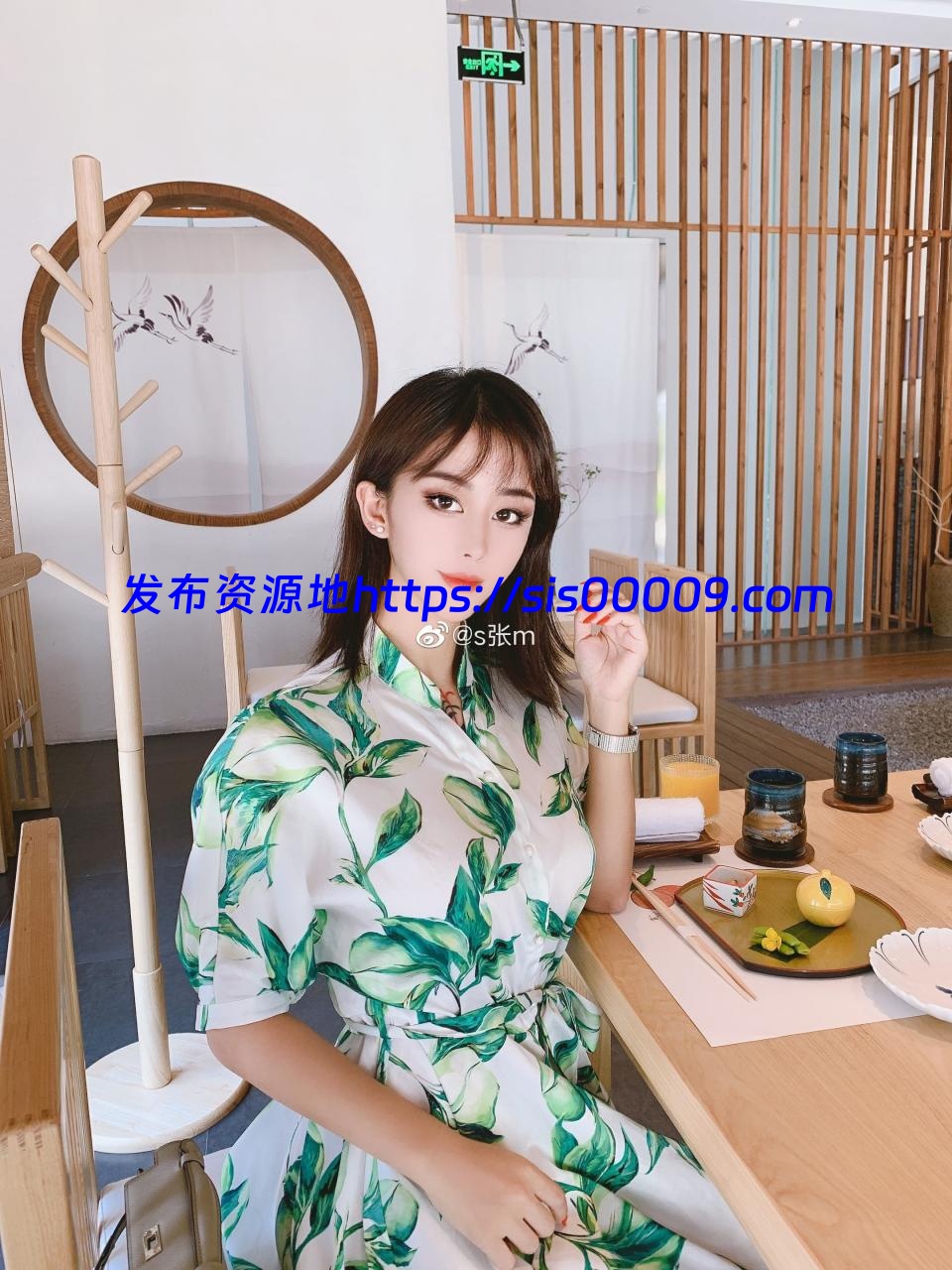 微博网红@heyuzhang 张贺玉Onlyfans合集【百度网盘/1231P+17V/1.4G】 3