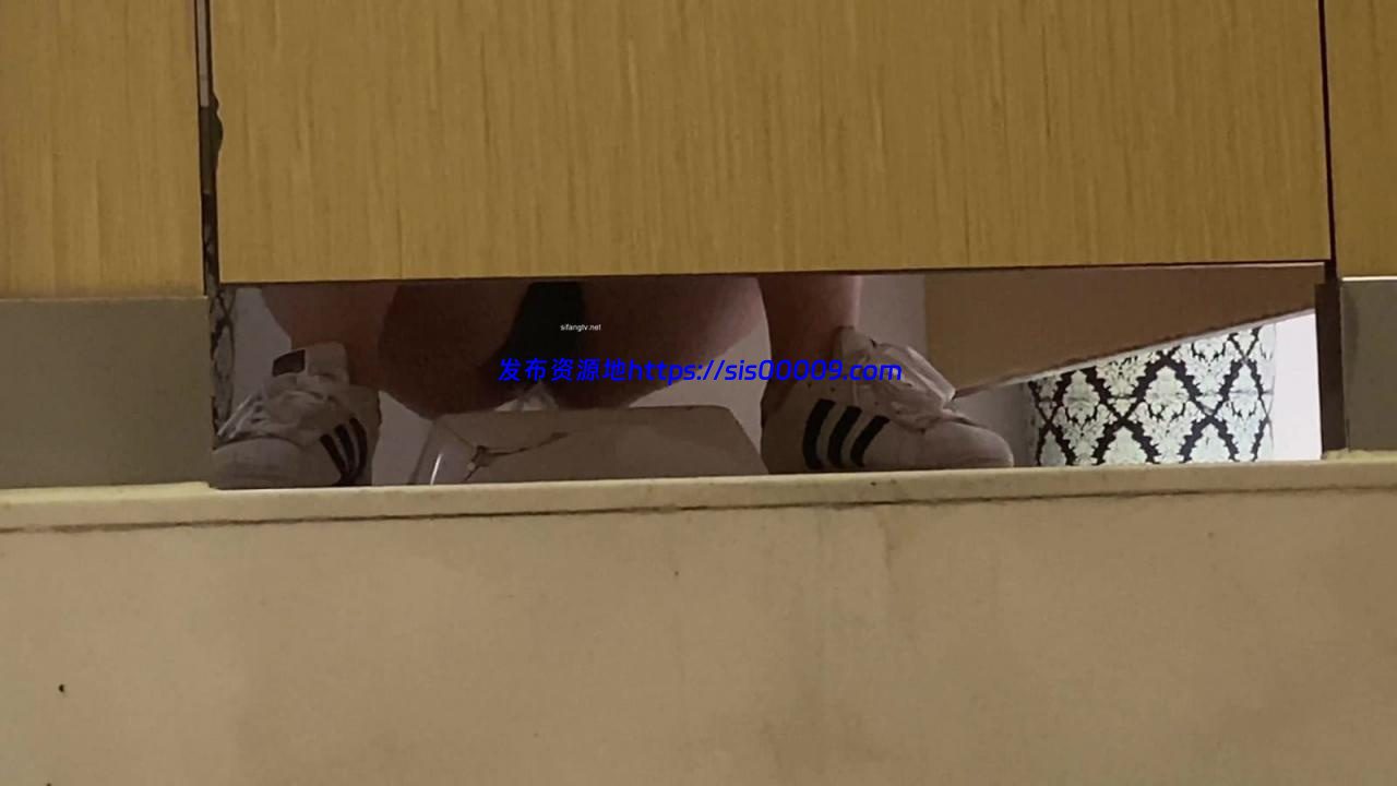 【2020原创厕拍】高级商场偷拍各种蹦完迪的气质美女完结篇【百度网盘/21V/2.37G】 1