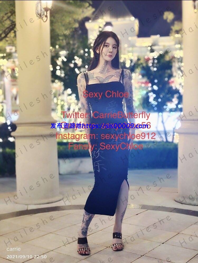 火爆一时的推特网红龙猫夫妇【335P/138V/560M】 1