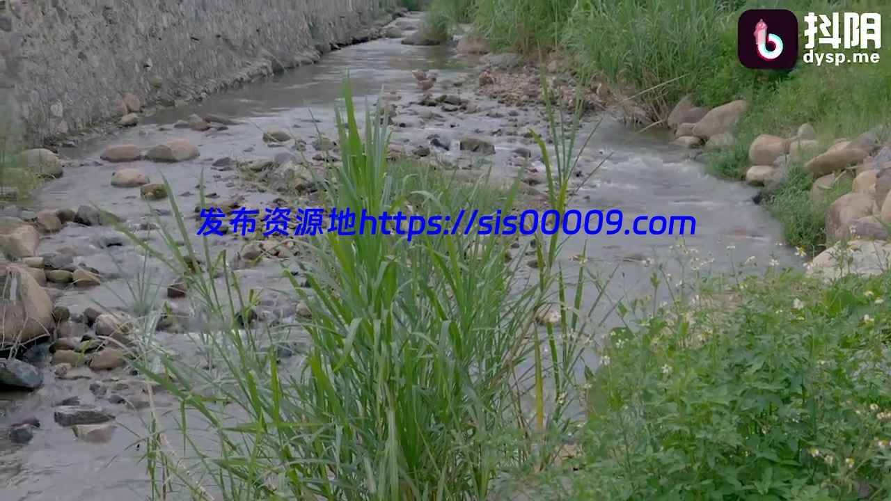 91麻豆传媒最新 【5v/3.26G】 31