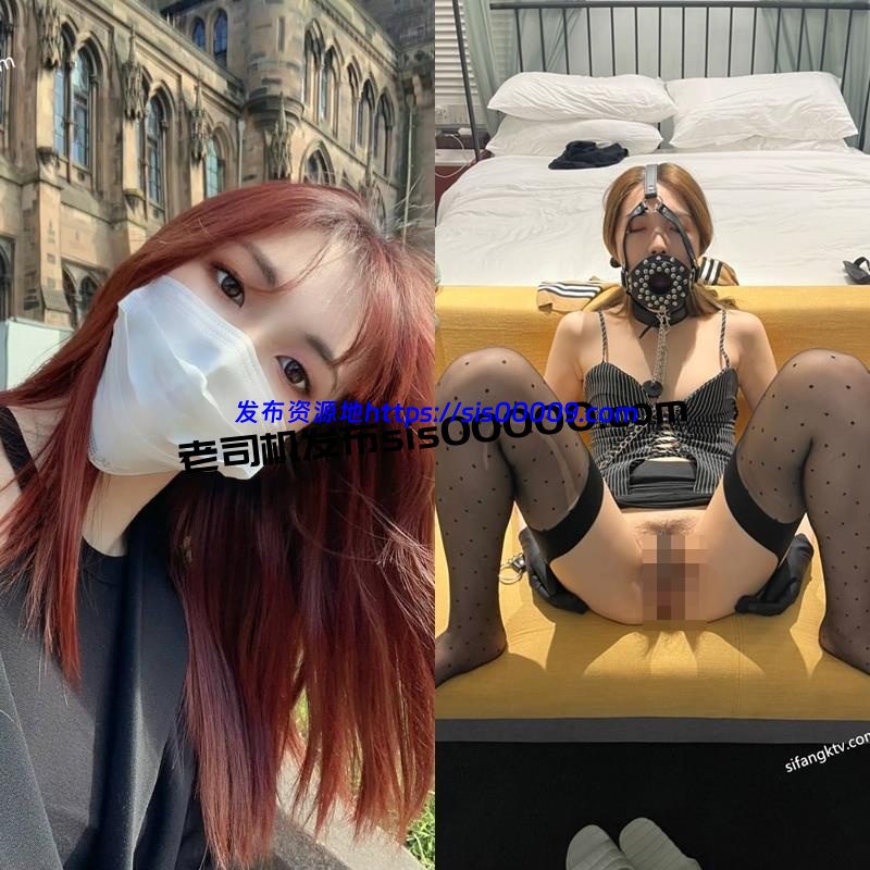 推特反差母狗@温文尔雅的女神私下是母狗 3.85GB 1