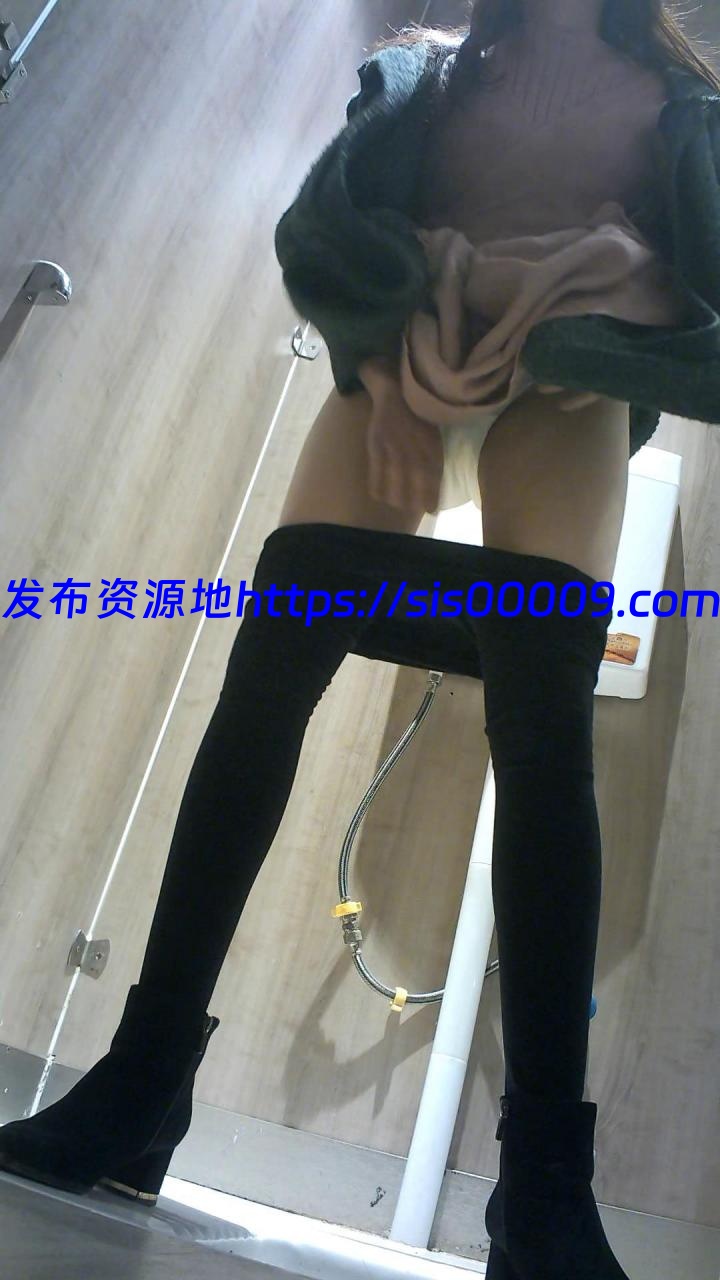 厕拍首发12月商场高清全景系列第5部【百度网盘22P/20V/6.2G】 4