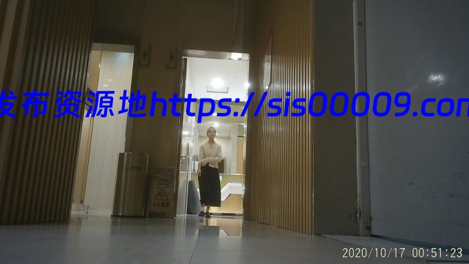 【2020原创厕拍】重磅原创高档餐厅厕拍吃夜宵的性感美女 [百度网盘/多V/2G] 5