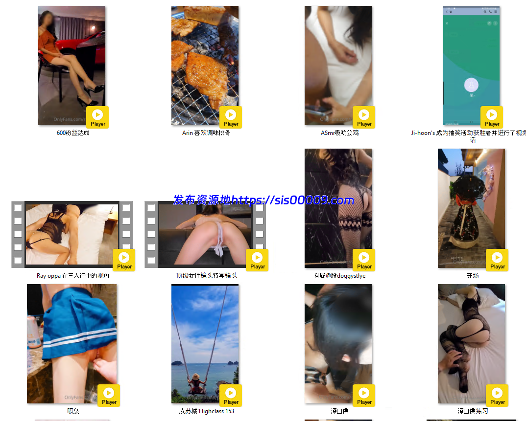 韩国绿帽男友rayarinxxx 9.9G 13