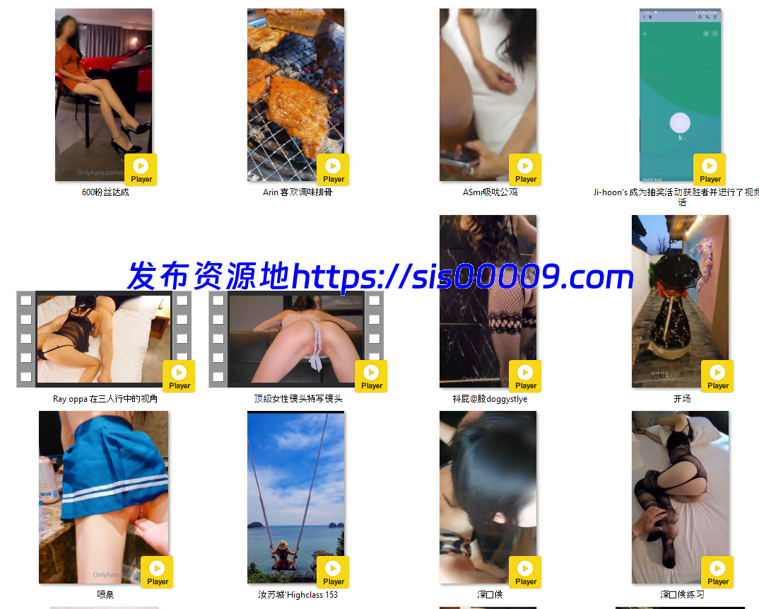 韩国绿帽男友rayarinxxx 9.9G 13