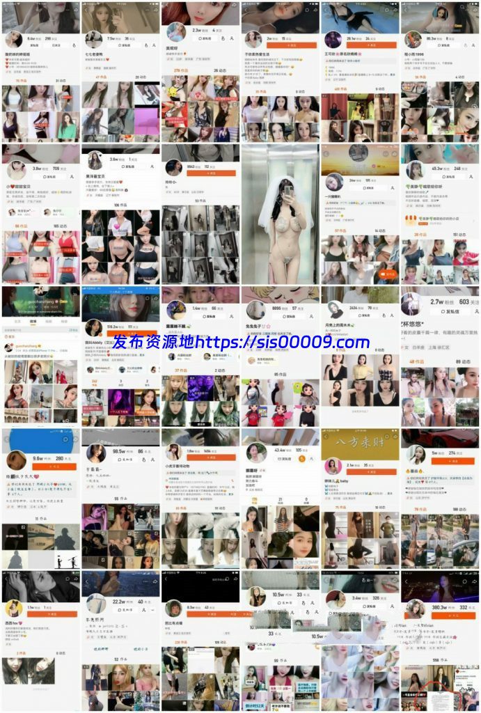 39位网红 定制合集 257V 1