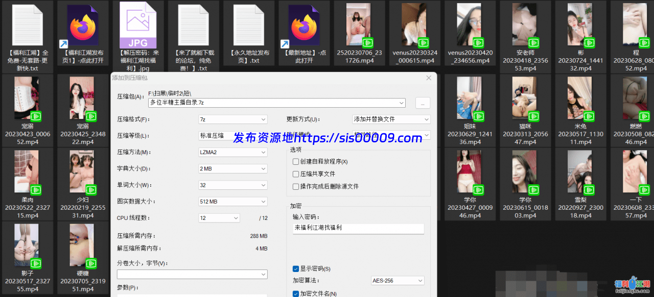 [自行打包]20位半糖主播无水录制（35V/14.5G） 17