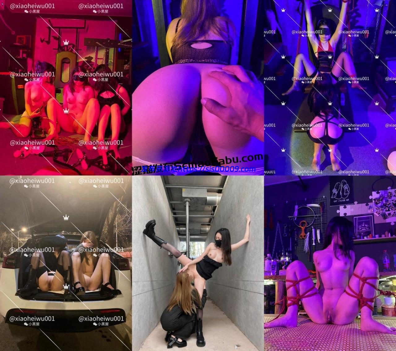 顶级调教大佬 小黑屋 花式调教御姐萝莉女奴们86V/333P 1