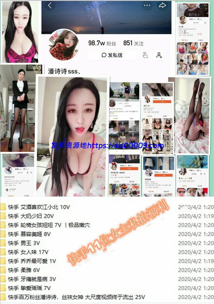 潘诗诗等11位网红 定制 108V 1