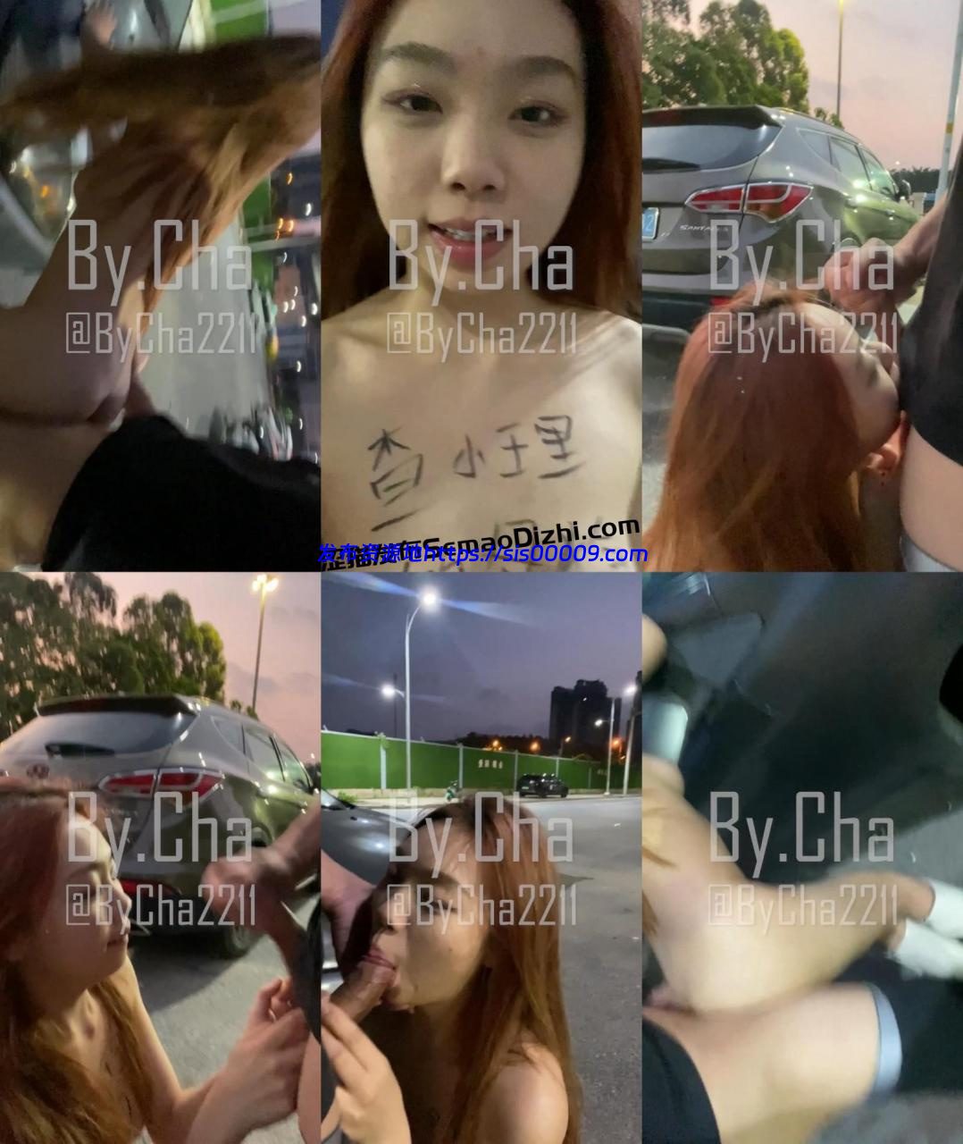 推特户外母狗网红 查小理-吴晗 路边搭讪口活啪啪 1