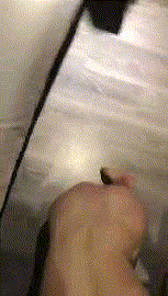 ★★★【极品反差】舞蹈老师沫儿sm/啪啪/母狗 1