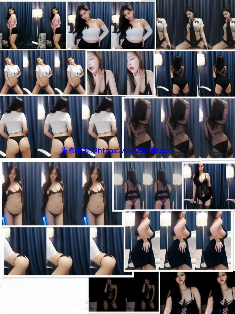 盛鸽KK 定制 12V 1