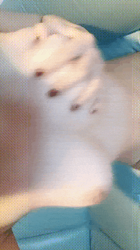 ♈推荐！美胸主播！首次道具~【性感妹妹】这奶子绝了~！ 6