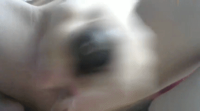 stripchat 主播 H0A- 04 4