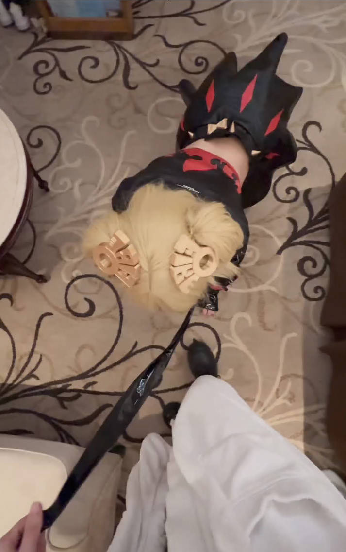 「美女Coser收藏家」福利姬泡良大神「Maniacccccc」《绝区零》柏妮思火放太多被抓到被惩罚！“受不了了腿都发抖”[418M百度云] 2