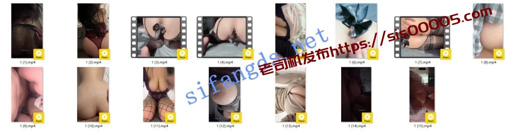 抖音 小猫日记 木瓜巨乳 露点 一对一+做爱 肛塞等【15V】【111M】 1