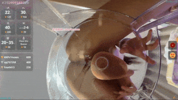 主播 Evebaby eveminii 09 2