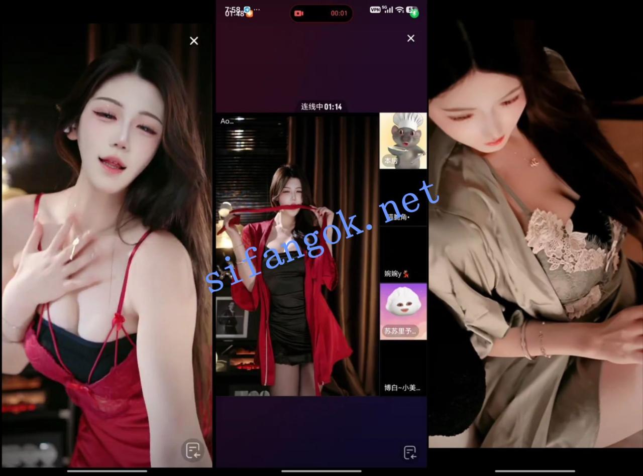 【抖音】小唯文化传媒 礼物擦边舞蹈 32V 3