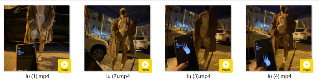 ஐ退圈COSERஐ以理服人藜藜子 高价捆绑定制 骚舞+跳蛋露出【7V】【2.39G】 7