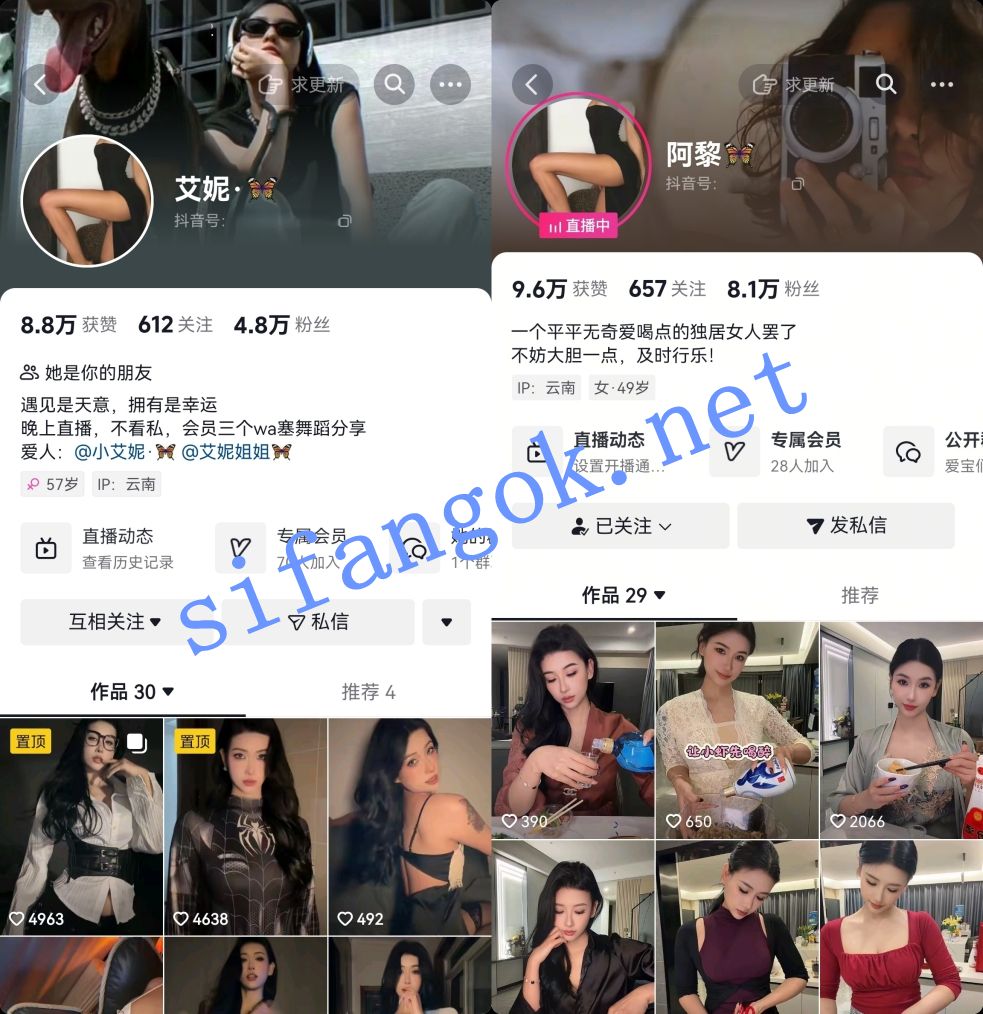 抖音黑皮美女-阿黎(艾妮)凌晨擦边舞蹈及会员小视频【13V】【1.85G】 1