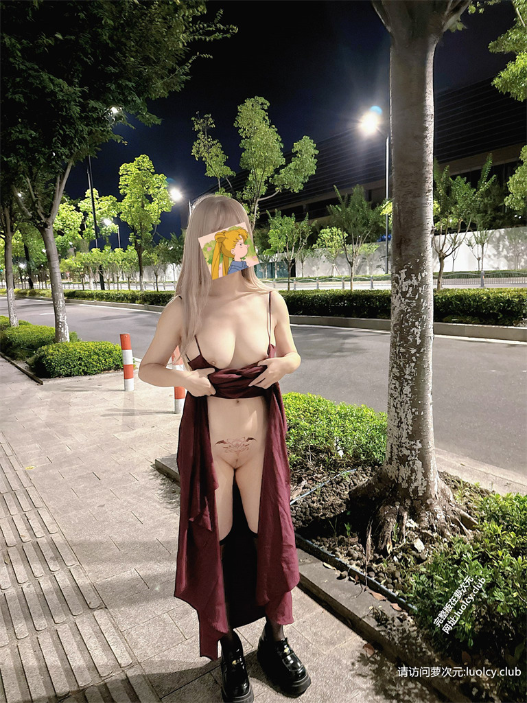 西萌工作室 – 【萝莉柚柚】40分钟 露脸定制 公寓露出商场 【16P4V-5.99G】 4